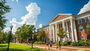 Why University Education Is Important for Your Future